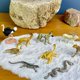 thumbnail image 2 of Set de minifiguras TOOB 9 de Toy Set Safari Ltd., animales del desierto del Sahara, 2 of 7