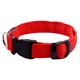 thumbnail image 1 of Collar para perros con luz LED Blazin: visibilidad de pies - El más brillante para seguridad nocturna, 1 of 6