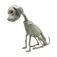 Magideal - Esqueleto Figura Perrito Escultura Animal Decoración En Pvc Sólido Con Estilo Único Y Detalles Realistas Adecuado Para Fiestas Temáticas Escritorio Co Perro