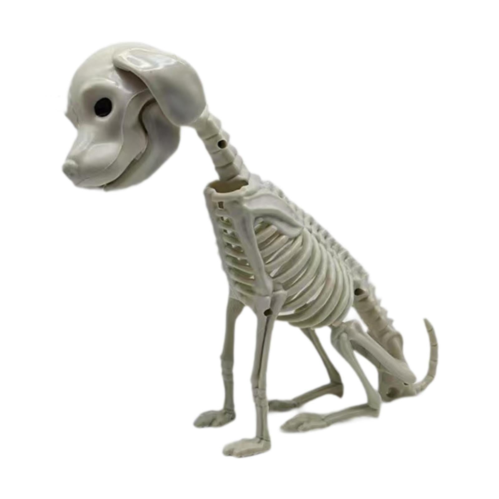 Magideal - Esqueleto Figura Perrito Escultura Animal Decoración En Pvc Sólido Con Estilo Único Y Detalles Realistas Adecuado Para Fiestas Temáticas Escritorio Co Perro