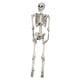 thumbnail image 1 of Calavera De Esqueleto De Simulación De 185 Cm Chic Para Fiestas Temáticas De Porche De Casa Embrujada, 1 of 5