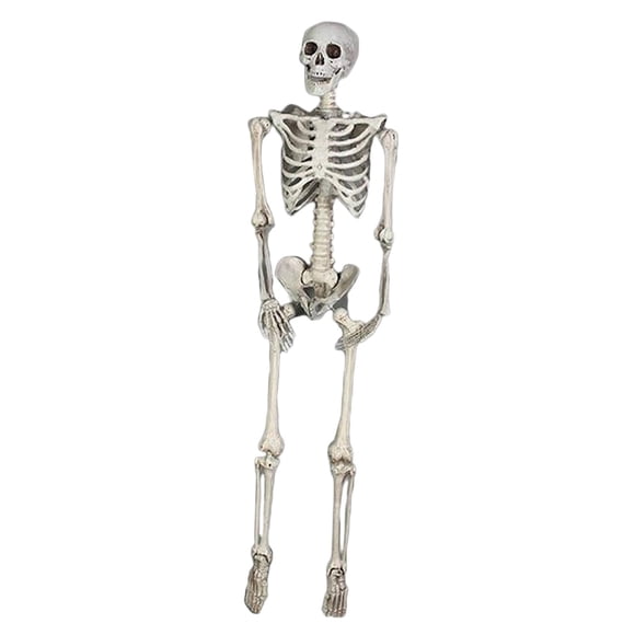 Calavera De Esqueleto De Simulación De 185 Cm Chic Para Fiestas Temáticas De Porche De Casa Embrujada