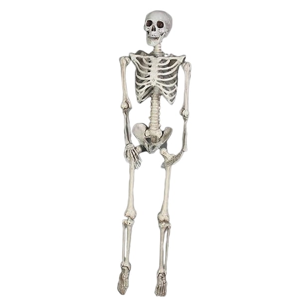 Calavera De Esqueleto De Simulación De 185 Cm Chic Para Fiestas Temáticas De Porche De Casa Embrujada
