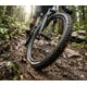 thumbnail image 3 of Neumático Maxxis Forekaster 29x2.40 Exo Tr Tubeless Mtb, 3 of 3