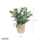 thumbnail image 4 of Olivo Planta Artificial con Macetero Decoración SunnyYard, 4 of 4