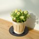 thumbnail image 2 of 4pieces Plant Level Pot Elevator 20cm Diameter Big Plant Stands Pesado Planter Holder Potted Plant Stand Para Cubierta O Patio, 2 of 3
