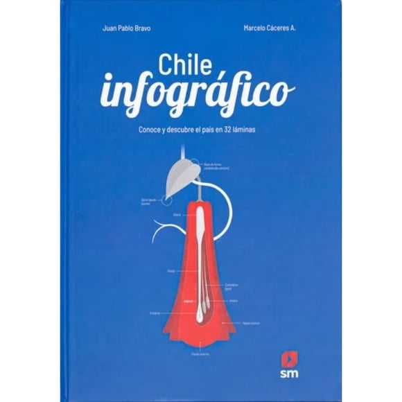 Libro Chile Infográfico