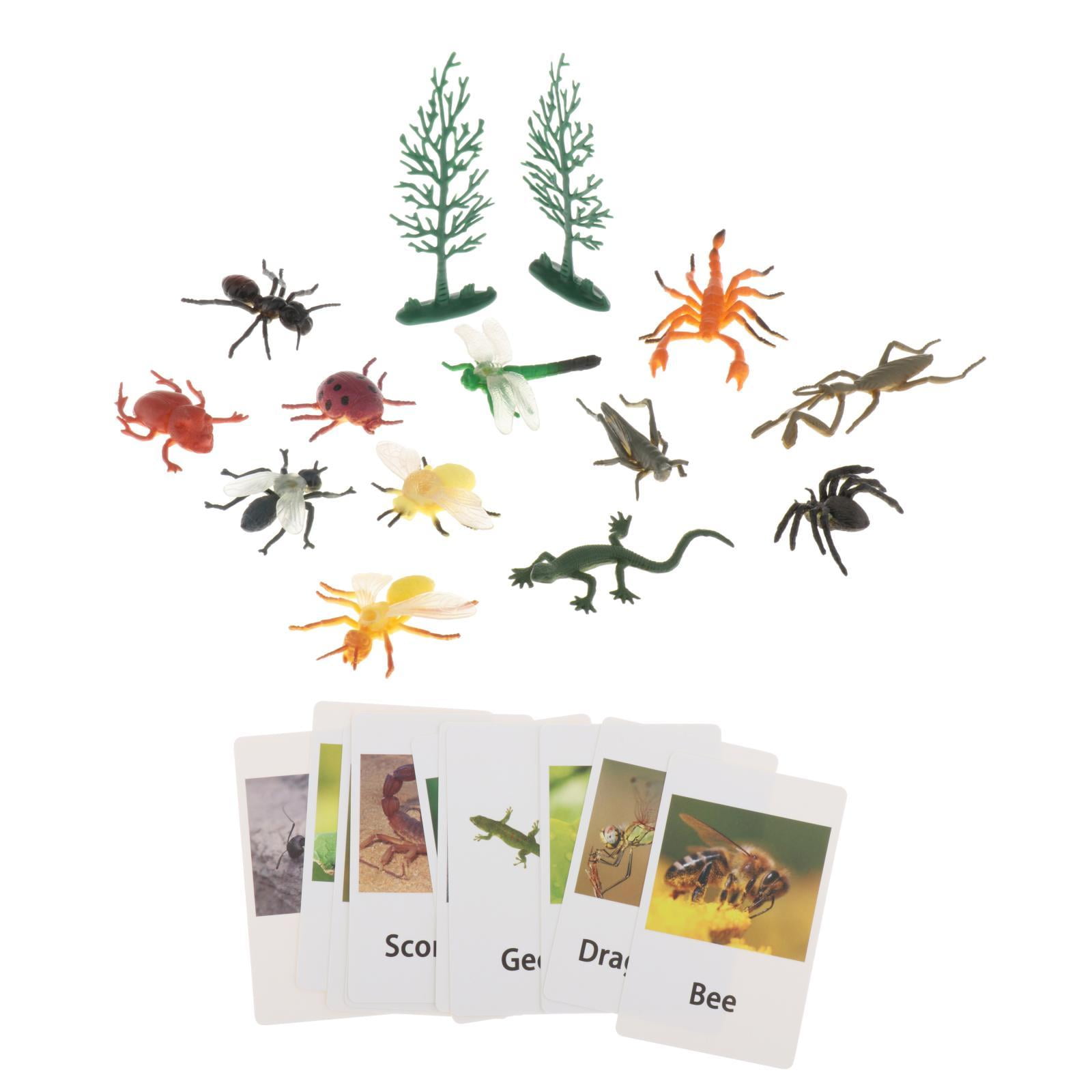 Magideal - Montessori Animal Match, Materiales Montessori, Niños Pequeños, Niños, Figuras De Animales Realistas, Juguetes Para Regalo Navideño, Material Didáctic Insectos