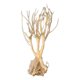 thumbnail image 2 of Acuario Ecológico Acuático Driftwood Raíz Tronco árbol Rama Terrario Decoración 25-30CM, 2 of 5