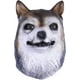 thumbnail image 1 of Mascara Halloween Lobo, 1 of 5