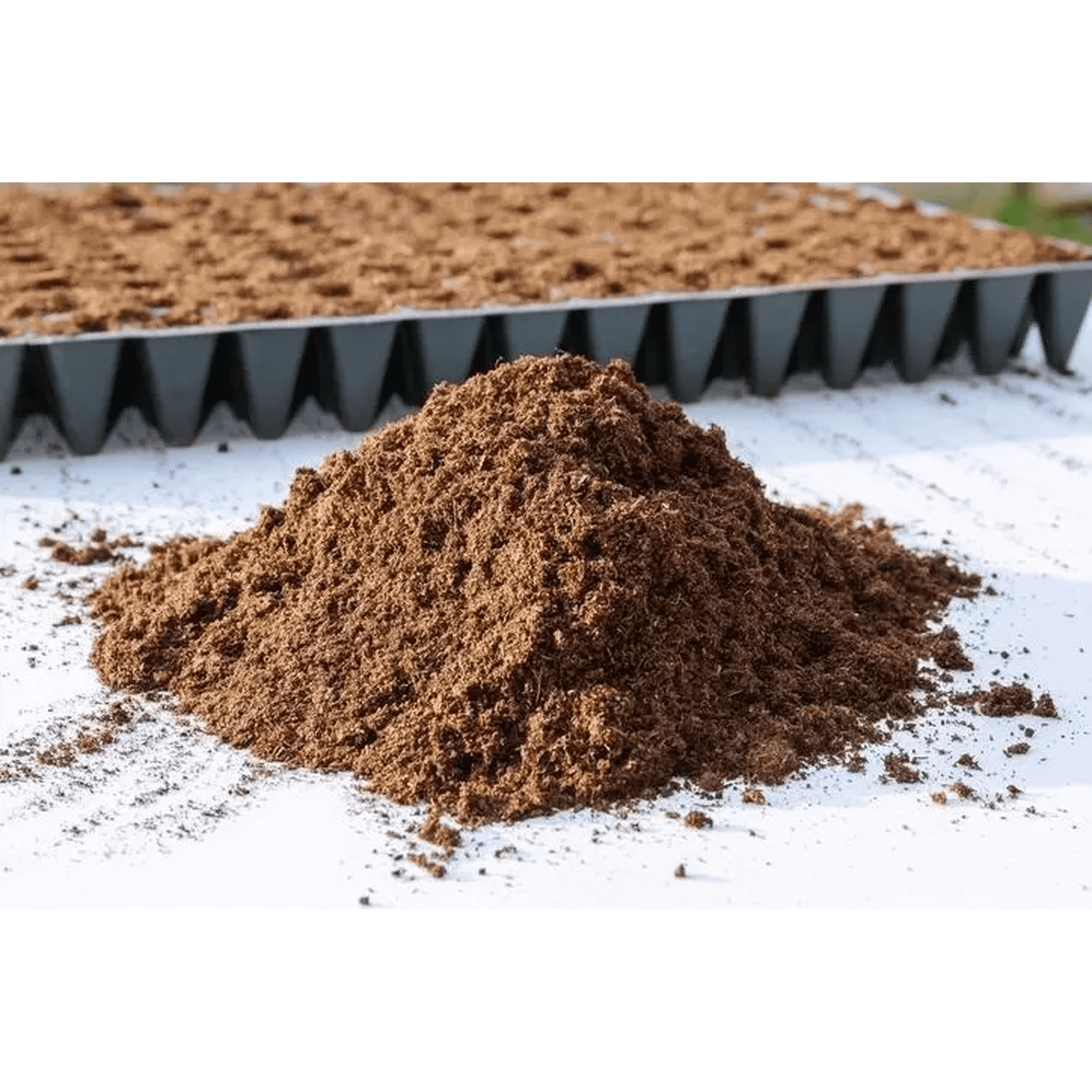 Grow Sweet - Turba Rubia Sphagnum Sin Fertilizar, Semillera, 40 Litros