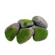 thumbnail image 2 of 5 Piezas De Rocas Falsas Para Dioramas, Rocas Artificiales Para Arreglos Florales De Patio, Jardín De Hadas F, 2 of 5
