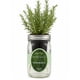 thumbnail image 1 of Kit hidropónico para cultivar hierbas Environet en frasco Mason de romero, 1 of 8