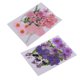 thumbnail image 5 of 2pcs Múltiples Flores Secas Prensadas Naturales Hojas DIY Art Craft Decorations, 5 of 5