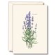 thumbnail image 1 of Juego de tarjetas de notas Earth Sky + Water 8 unidades Lavanda, 1 of 3