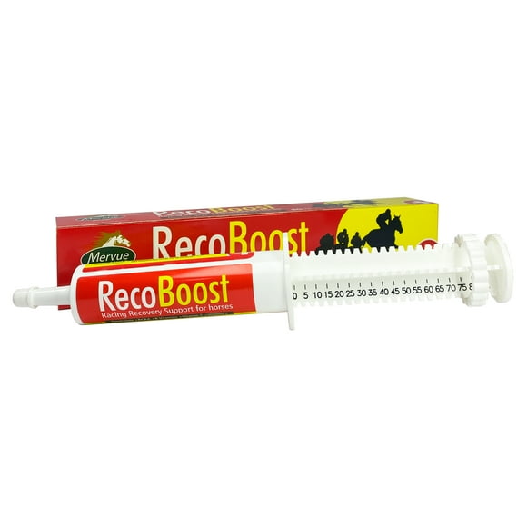 RecoBoost 80 ml – Fórmula de recuperación y rehidratación para caballos de alto rendimiento