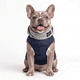 thumbnail image 1 of CHALECO ROJO PERROS Y GATOS- S, 1 of 4