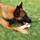 thumbnail image 5 of Juguete de masticar para perros Tikaton Hammerbone sabor a carne de vacuno - Tamaño grande, 5 of 7