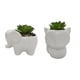 thumbnail image 1 of Planta Artificial con macetero de elefante o zorro Surtido, 1 of 4