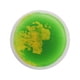 thumbnail image 4 of Liquid The Tiles Alfombra De Juego De Actividades Redonda De 30 Cm Para Niños Y Niños Amarillo Y Verde, 4 of 5