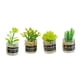 thumbnail image 3 of 4 Uds Escala 1:12 Casa De Muñecas Plantas En Miniatura Modelo Pequeño Bonsái Para Casa De Muñecas Estilo B, 3 of 5