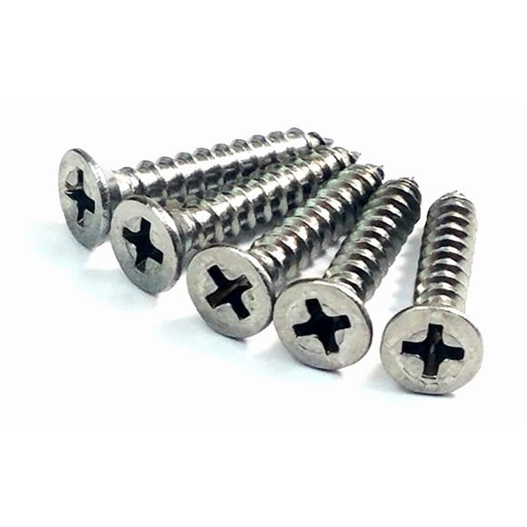 Tornillos Para Bisagra #9 X 2 5 Cm De Acero Inoxidable Paquete De 24
