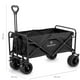 thumbnail image 2 of Carro Transporte Plegable Quintay, 2 of 8