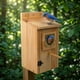 thumbnail image 5 of Casas para Pájaros KraAra 2 Unidades 12 cm × 10,5 cm Madera de Pino, 5 of 7
