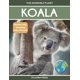 thumbnail image 1 of Libro Datos Sobre El Koala Para Niños, 1 of 1