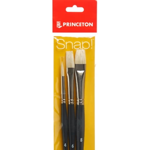 Set 3 Pinceles Princeton Mango Largo Cerda Natural