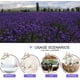 thumbnail image 4 of Lavanda seca natural (250 g), flores de lavanda aromáticas, capullos de lavanda para bolsitas de lavanda, 4 of 5