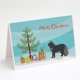 thumbnail image 1 of Tarjetas de felicitación Caroline's Treasures Maine Coon – Paquete de 8, 1 of 3