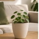 thumbnail image 1 of Macetero Nordico Redondo 14x12.5 cm Interior Decoraciòn beige S, 1 of 9