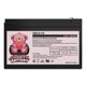 thumbnail image 5 of Batería Charity Battery 12 V 15 Ah (2 unidades) Terminal F2, 5 of 7
