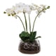 thumbnail image 1 of Planta Artificial Orquidea En Macetero De Vidrio 55 Cm, 1 of 3