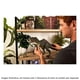 thumbnail image 3 of Juguete Mattel Jurassic World Hammond Collection Gigantosaurus, 3 of 3
