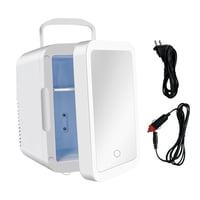 Bothyi - Refrigerador Portátil, Refrigerador Pequeño De 110V / 12V Cc Para Maquillaje De Oficina Y Dormitorio