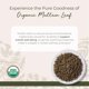 thumbnail image 2 of Té de hojas de gordolobo orgánico Herb Starwest Botanicals, 120 ml, 2 of 6