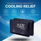 thumbnail image 2 of Paquetes De Hielo En Gel Flexikold Para Lesiones Paquete De 2, 2 of 9