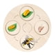 thumbnail image 2 of Tablero De Ciclo De Crecimiento De Vida Montessori Temprano # Educativo Para Ni?os En Edad Preescolar Ladybug, 2 of 5