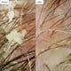 thumbnail image 2 of Champú microexfoliante Scalp Revival con carbón y aceite de coco, 2 of 3
