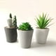 thumbnail image 2 of Planta Artificial Suculenta 6 cm Producto Surtido, 2 of 3