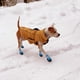 thumbnail image 3 of Botas para perros antideslizantes e impermeables para exteriores, zapatos para perros medianos y grandes con suela resistente., 3 of 8