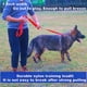 thumbnail image 4 of Correa de adiestramiento para perros: correa duradera y ajustable para mascotas, ideal para entrenamiento de obediencia, paseos y control. Ideal para perros de todos los tamaños y razas., 4 of 5