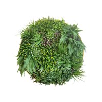 Signet - Jardin Vertical Valhalla