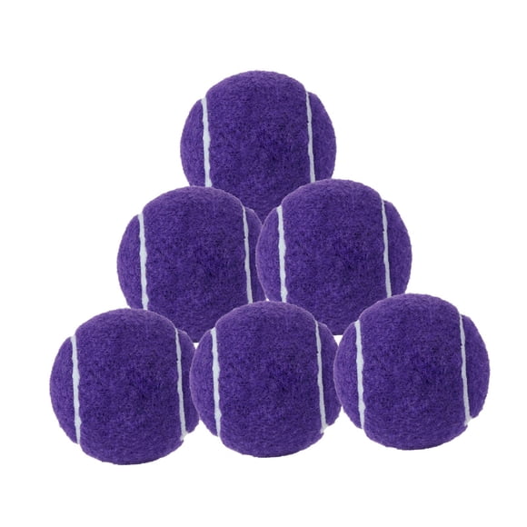 6 PPCS Balls de tenis para el entrenamiento para principiantes que practican bolas de entrenamiento de tenis para perros de mascotas 64 mm de diámetro Púrpura