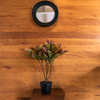 Vadell Home - Crotón De 65 Cm