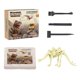 thumbnail image 4 of Kits De Excavación De Esqueleto De Animales Para Niños, Juguetes De Excavación DIY Para Niños En Edad Preescolar, Estilo D, 4 of 5