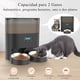 thumbnail image 3 of Dispensador Comida Gato Doble Plato Negro + Pack Antihumedad, 3 of 7