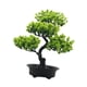 thumbnail image 3 of bonsái artificial, plantas de imitación, decoración de jardín en maceta de bienvenida para interiores, decoración de plantas falsas pequeñas Verde claro, 3 of 5